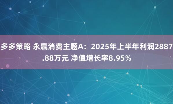 多多策略 永赢消费主题A：2025年上半年利润2887.88万元 净值增长率8.95%