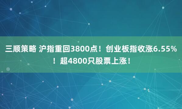 三顺策略 沪指重回3800点！创业板指收涨6.55%！超4800只股票上涨！