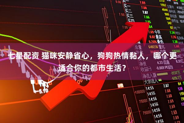 七星配资 猫咪安静省心，狗狗热情黏人，哪个更适合你的都市生活？