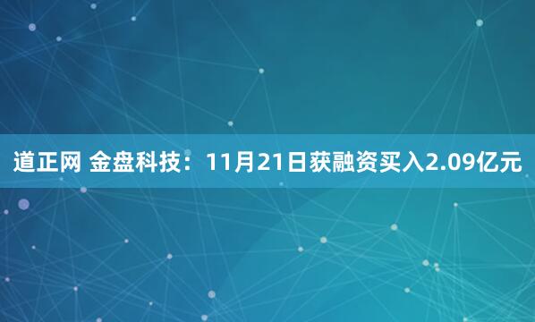 道正网 金盘科技：11月21日获融资买入2.09亿元